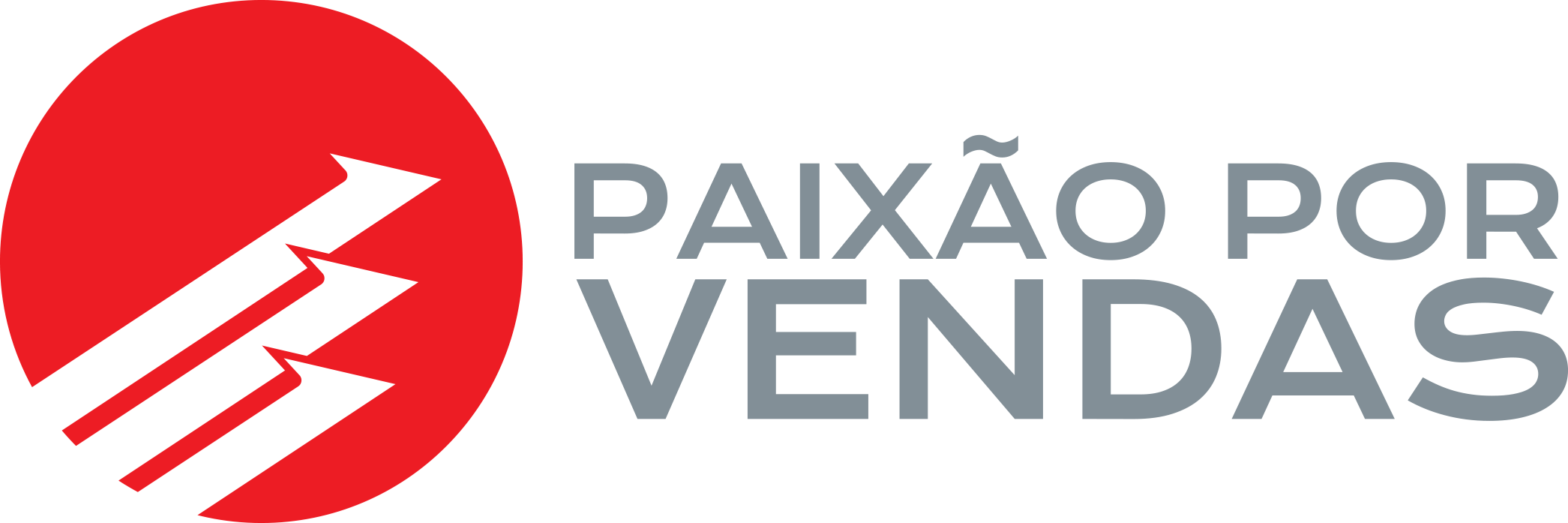 Paixão por Vendas